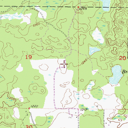 Topographic Map of Lilienthal Airport, MI