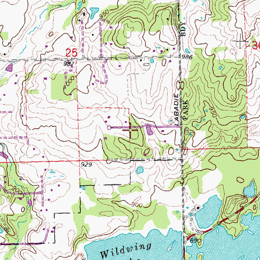 Topographic Map of Nitz Heliport, MI