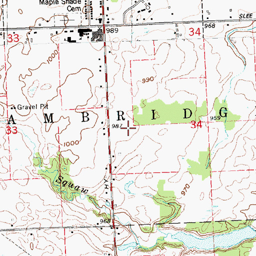 Topographic Map of Loars Field Airport (historical), MI