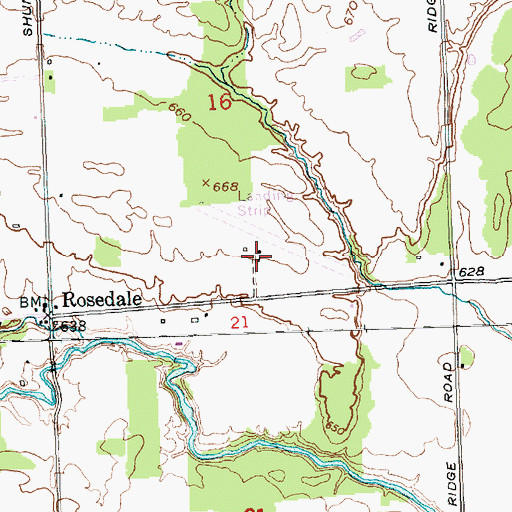 Topographic Map of Rosedale Airport (historical), MI