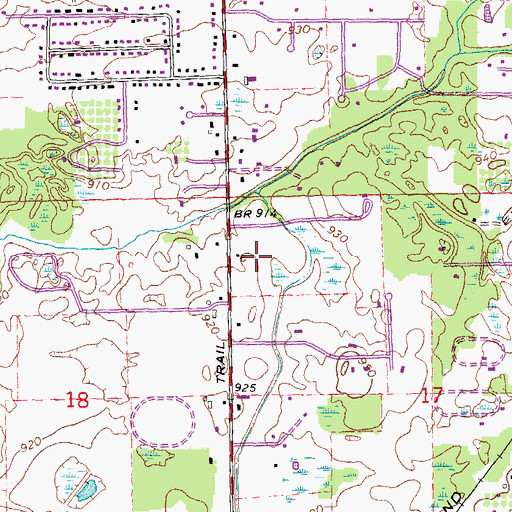 Topographic Map of Heliflite Heliport, MI