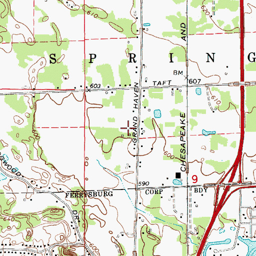 Topographic Map of De Witt Property Airport, MI