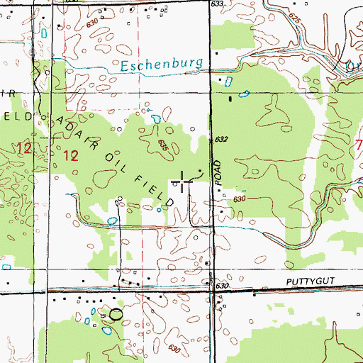 Topographic Map of Adair Gas and Oil Field, MI