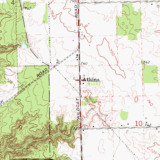Topographic Map of Atkins, MI