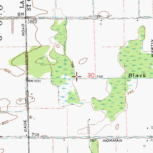 Topographic Map of Black Segate Reid Drain, MI