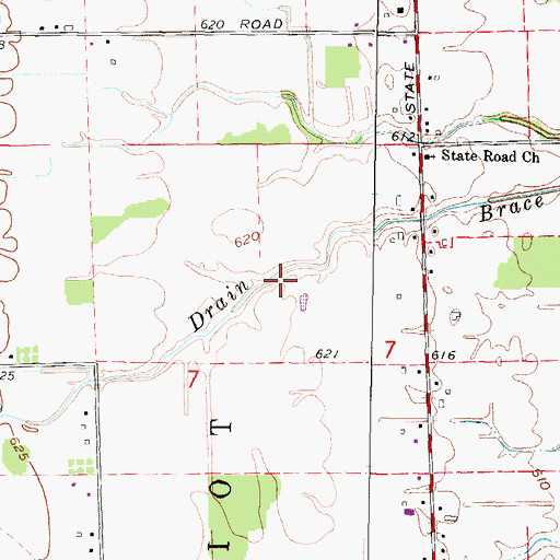 Topographic Map of Brace Drain, MI