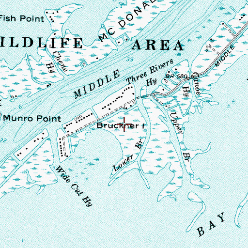 Topographic Map of Bruckner Island, MI