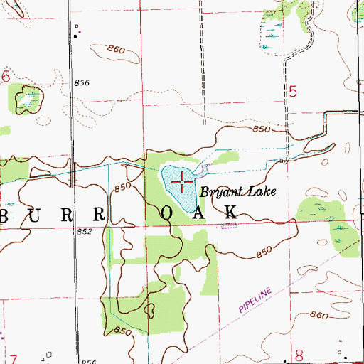Topographic Map of Bryant Lake, MI