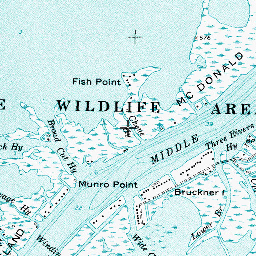 Topographic Map of Chene Highway, MI