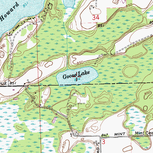 Topographic Map of Goose Lake, MI