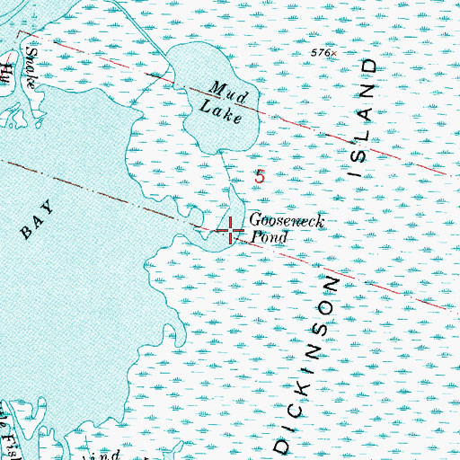 Topographic Map of Gooseneck Pond, MI