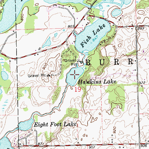 Topographic Map of Hawkins Lake, MI