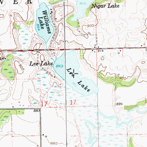 Topographic Map of Lee Lake, MI