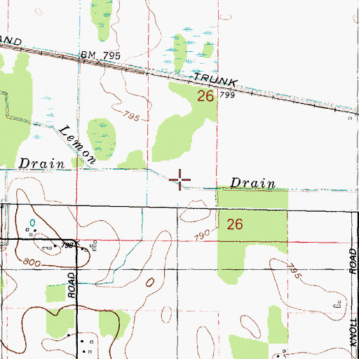 Topographic Map of Lemon Drain, MI