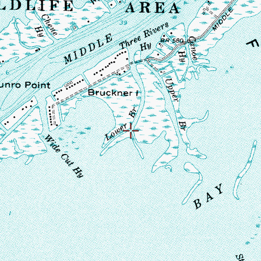 Topographic Map of Lower Branch, MI