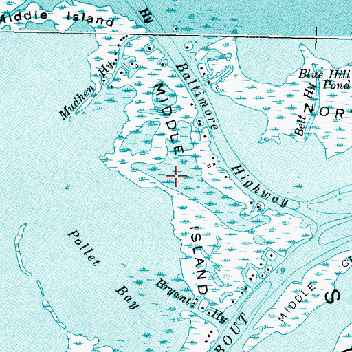 Topographic Map of Middle Island, MI