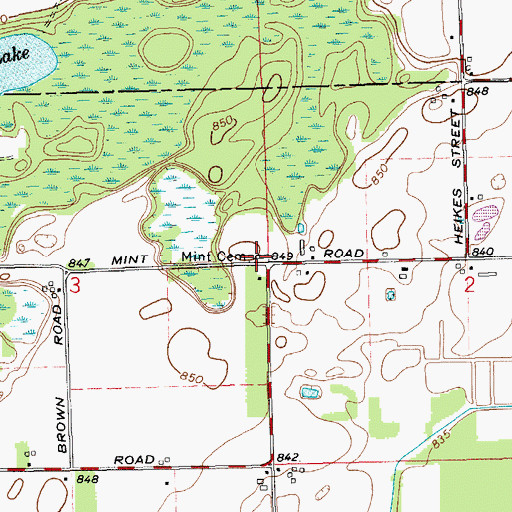 Topographic Map of Mint Cemetery, MI