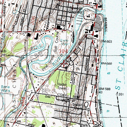 Topographic Map of Pine Shore Golf Course, MI