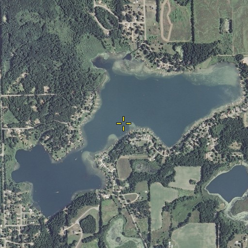 Aerial/Satellite Image of Pleasant Lake, MI
