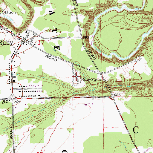 Topographic Map of Ruby Cemetery, MI
