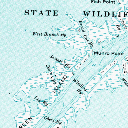 Topographic Map of Savage Highway, MI