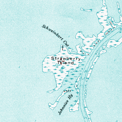 Topographic Map of Strawberry Island, MI