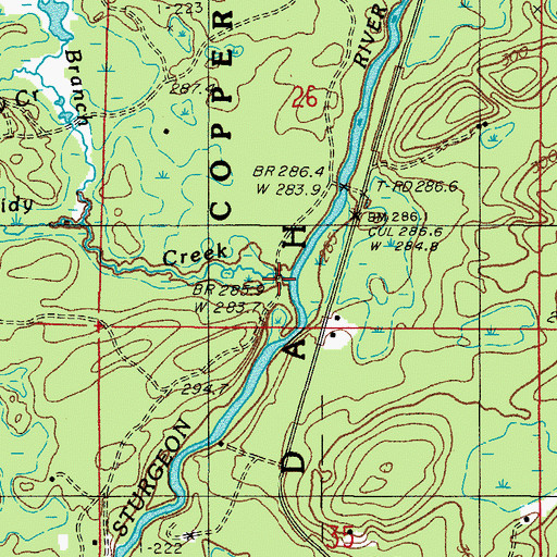 Topographic Map of Cassidy Creek, MI