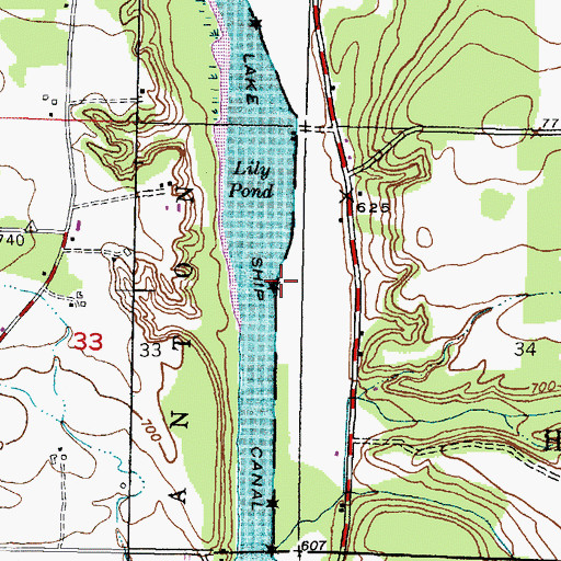 Topographic Map of Lily Pond South Light, MI