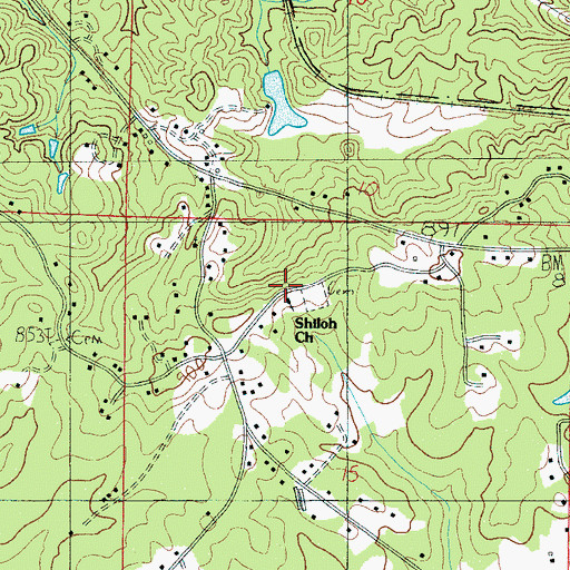 Topographic Map of Shiloh Church, AL