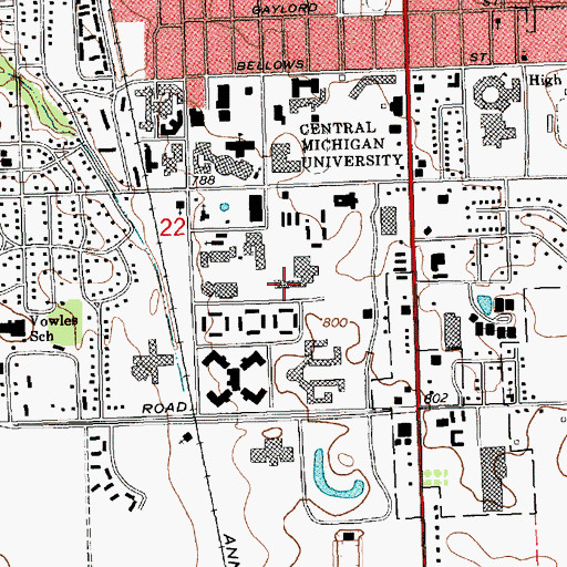 Topographic Map of WMHW-FM (Mount Pleasant), MI