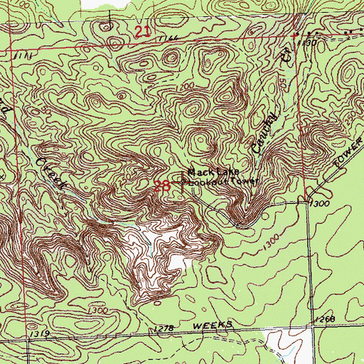 Topographic Map of WFMA-FM (Mio), MI