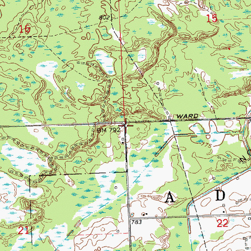 Topographic Map of Township of Adams, MI
