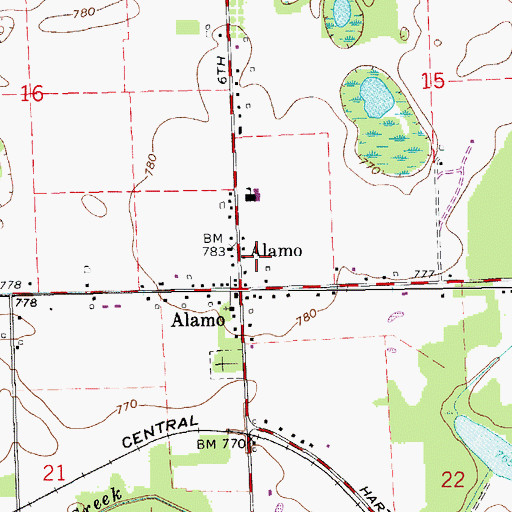 Topographic Map of Township of Alamo, MI