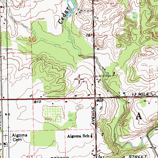 Topographic Map of Township of Algoma, MI