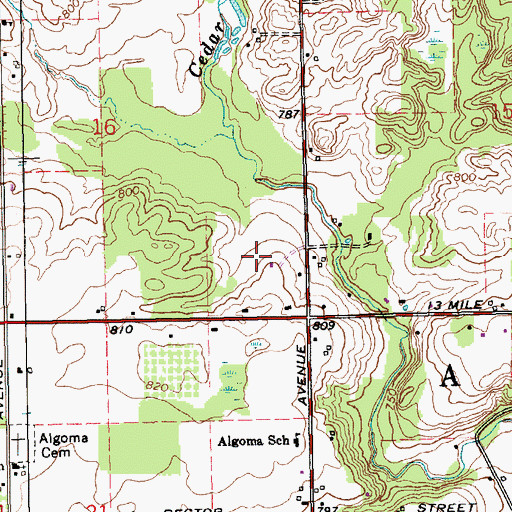 Topographic Map of Township of Algoma, MI