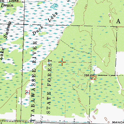 Topographic Map of Township of Au Gres, MI