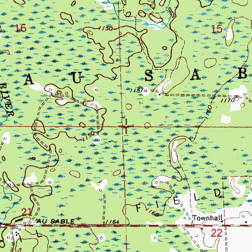 Topographic Map of Township of Au Sable, MI