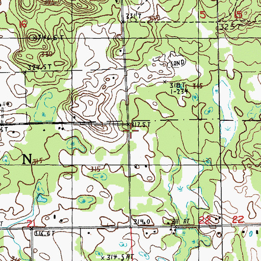Topographic Map of Township of Austin, MI