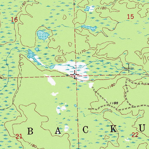 Topographic Map of Township of Backus, MI