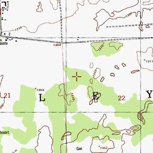 Topographic Map of Township of Bagley, MI