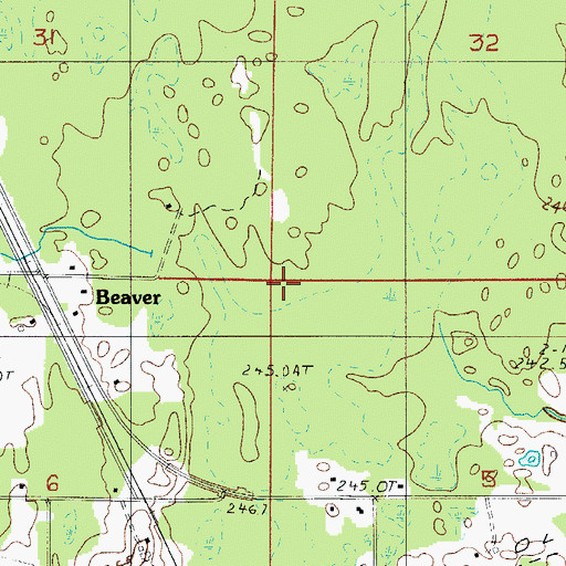 Topographic Map of Township of Baldwin, MI
