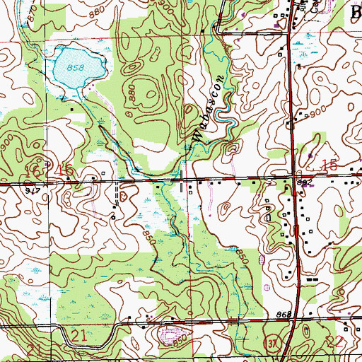 Topographic Map of Charter Township of Bedford, MI