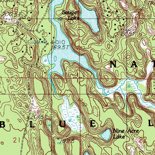 Topographic Map of Township of Blue Lake, MI