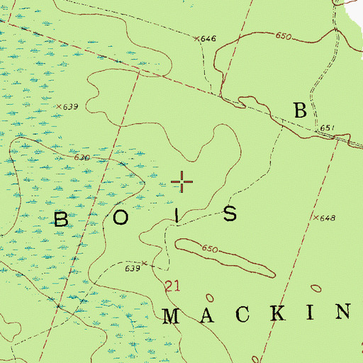 Topographic Map of Township of Bois Blanc, MI