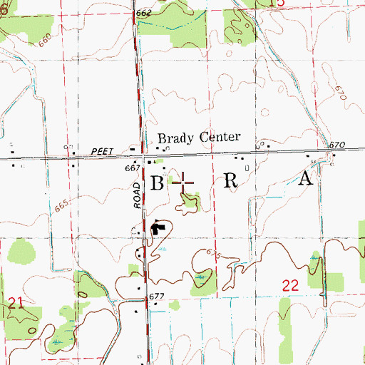 Topographic Map of Township of Brady, MI