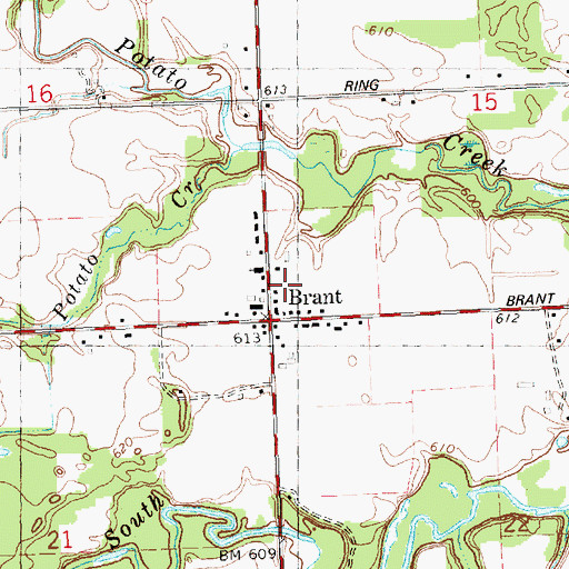 Topographic Map of Township of Brant, MI