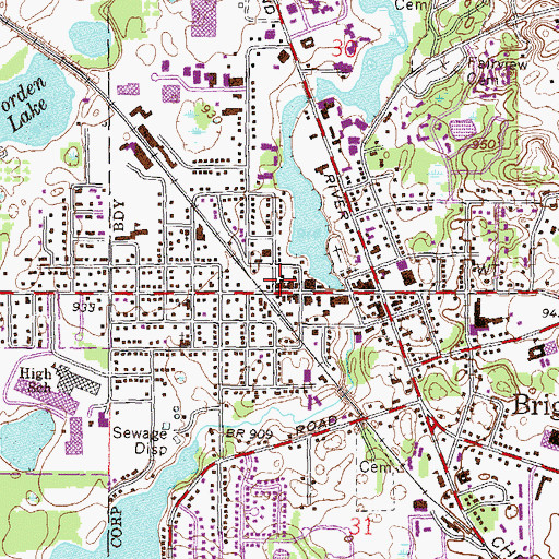 Topographic Map of City of Brighton, MI