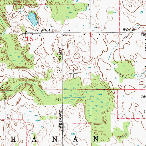 Topographic Map of Township of Buchanan, MI