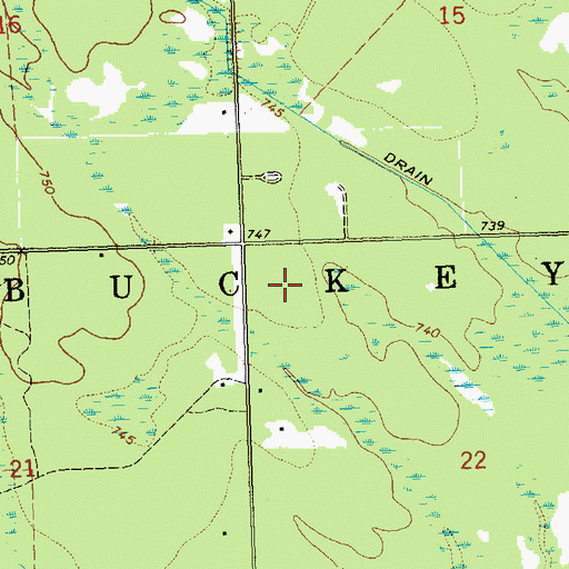Topographic Map of Township of Buckeye, MI