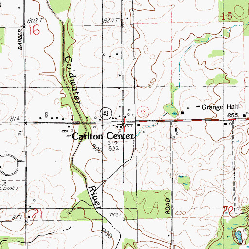 Topographic Map of Township of Carlton, MI